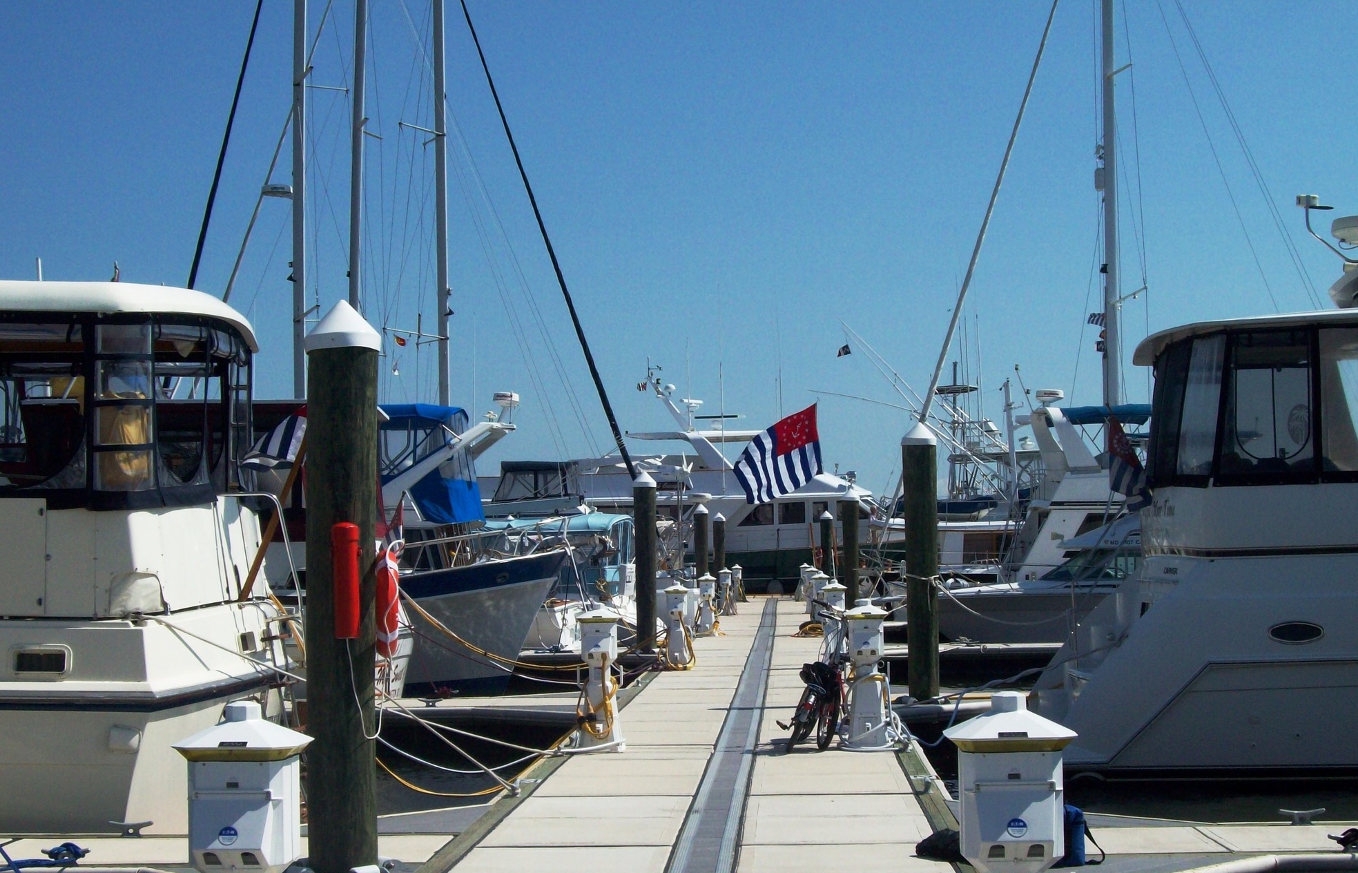 north cove marina rates